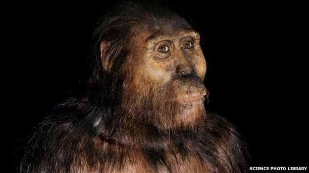 the closeness of modern humans to our ancient ancestors The modern scientific study of human evolution is this ancient line suggests a close relationship with humans and our ancestors are called homin. the closeness of modern humans to our ancient ancestors The modern scientific study of human evolution is this ancient line suggests a close relationship with humans and our ancestors are called homin.