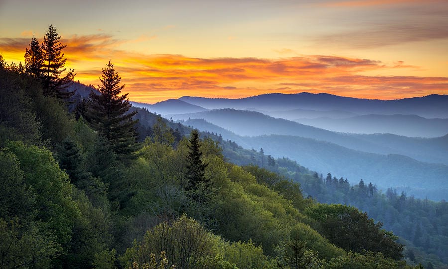 smoky mountains national park tour